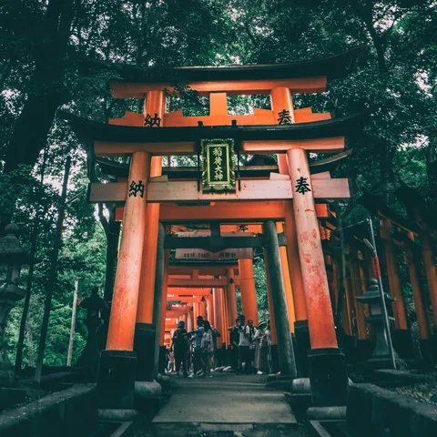 Vermilion torii gates at Fushimi Inari
